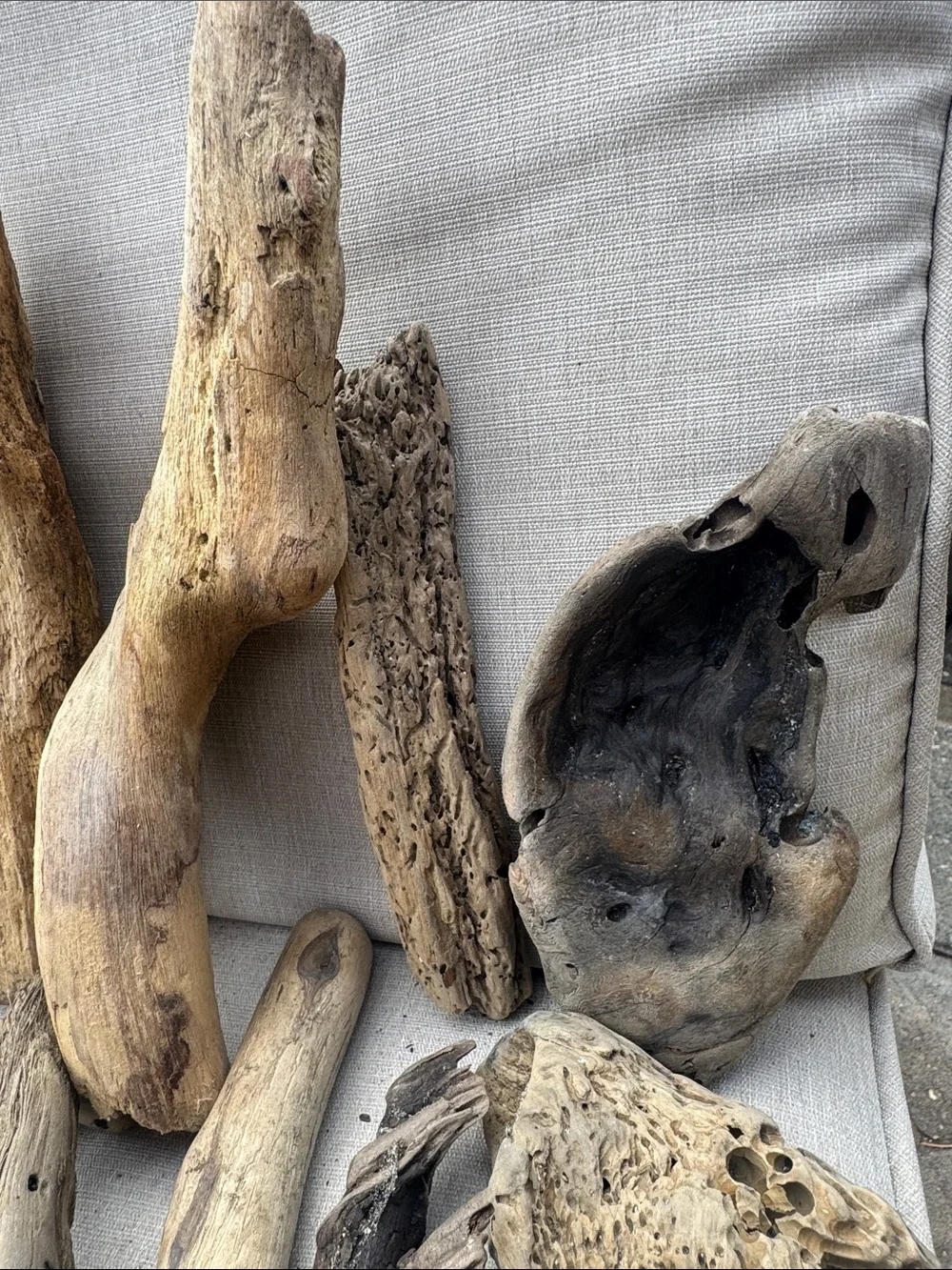 34 Pc (5lbs shipped) Box of beach Natural Driftwood Pieces for craft or decor